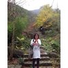 Bordon asian hookups