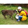 independent asian hookup Hucknall
