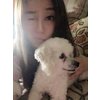 mature asian hookups Ripon